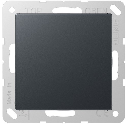 Заглушка без рамки Jung EcoProfi антрацит фото Заглушка без рамки Jung EcoProfi антрацит картинка